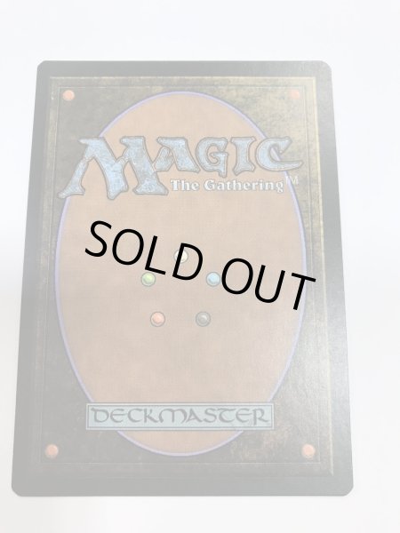 画像2: 森/Forest (UST)《Foil》【NM~NM-】 (2)