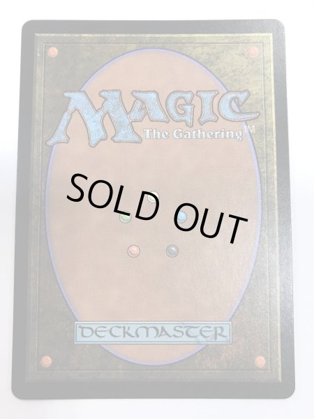 画像2: 霧深い雨林/Misty Rainforest (EXP)《Foil》【NM-】 (2)