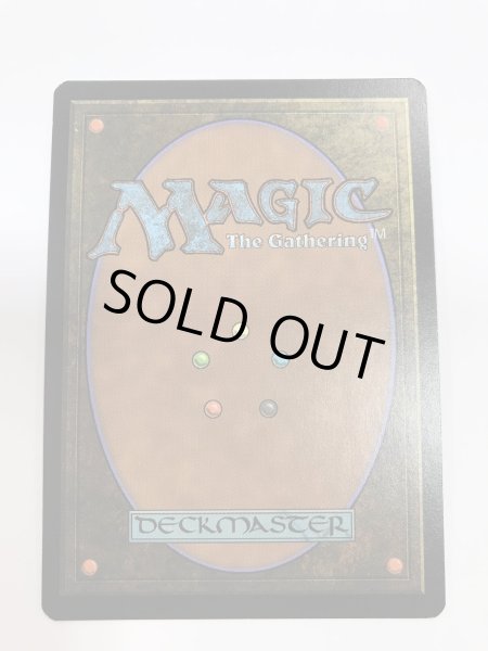 画像2: 霧深い雨林/Misty Rainforest (EXP)《Foil》【EX】 (2)