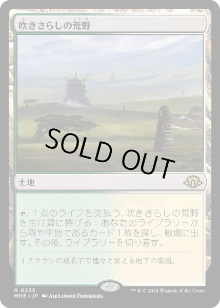 画像1: 吹きさらしの荒野/Windswept Heath (MH3) (1)