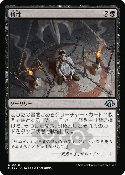 画像1: 犠牲/Victimize (MH3) (1)