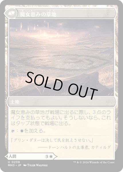 画像2: 魔女の結界師/Witch Enchanter (MH3) (2)