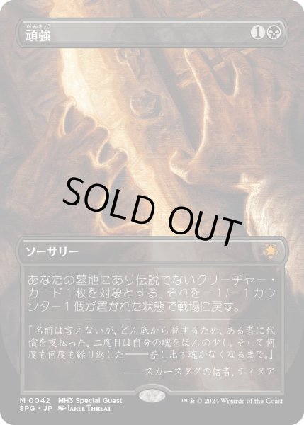 画像1: 頑強/Persist (SPG) (1)