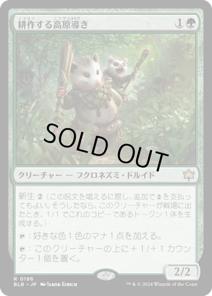 画像1: 耕作する高原導き/Tender Wildguide (BLB) (1)