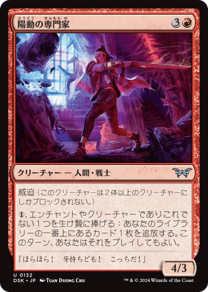 画像1: 陽動の専門家/Diversion Specialist (DSK) (1)