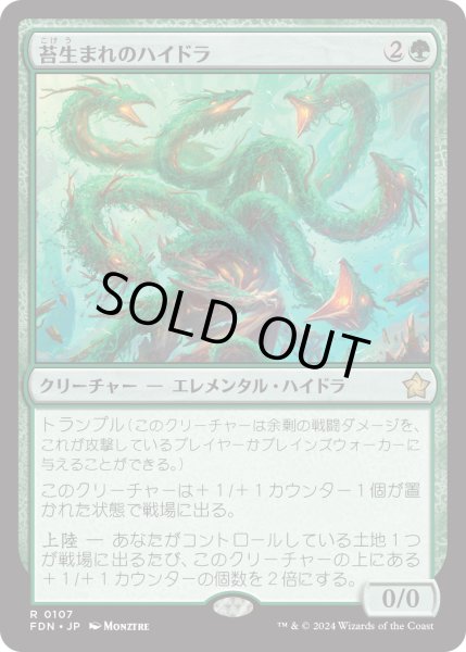 画像1: 苔生まれのハイドラ/Mossborn Hydra (FDN) (1)
