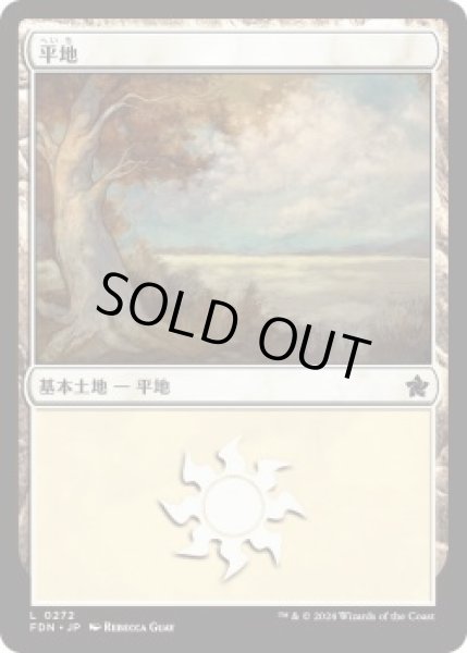 画像1: 平地/Plains 【Ver.1】 (FDN)《Foil》 (1)