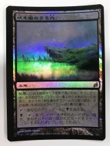 エラーカード - ジョニーのお店 Magic the Gathering (Page 1)