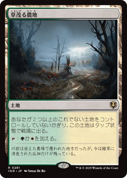 画像1: 草茂る農地/Overgrown Farmland (INR) (1)