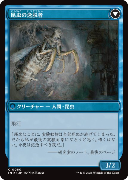 画像2: 秘密を掘り下げる者/Delver of Secrets (INR) (2)