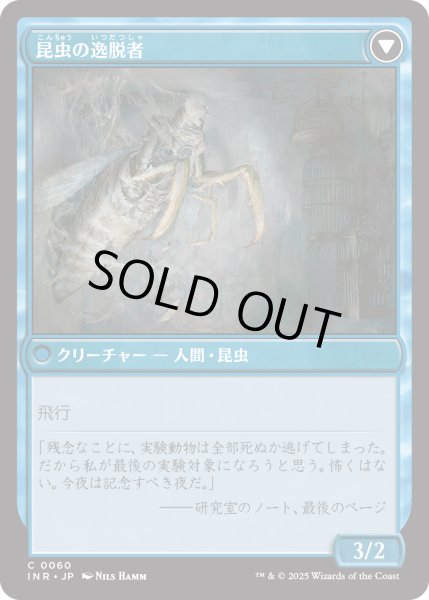 画像2: 秘密を掘り下げる者/Delver of Secrets (INR) (2)