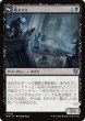 画像1: 墓ネズミ/Graf Rats (INR) (1)