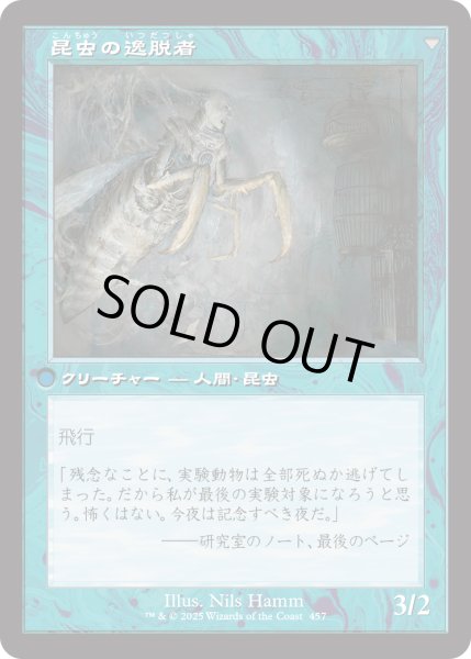 画像2: 秘密を掘り下げる者/Delver of Secrets (INR)【旧枠版】 (2)