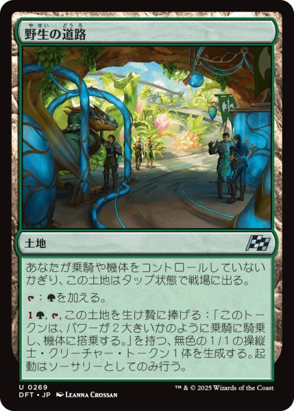 画像1: 野生の道路/Wild Roads (DFT) (1)