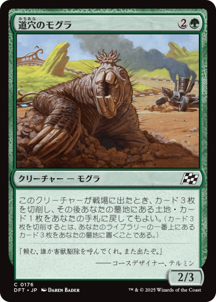 画像1: 道穴のモグラ/Pothole Mole (DFT) (1)