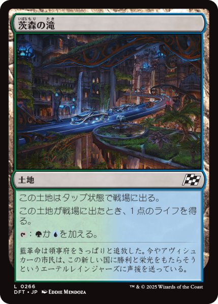 画像1: 茨森の滝/Thornwood Falls (DFT) (1)