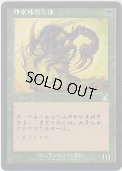 画像1: ワイアウッドの共生虫/Wirewood Symbiote (SCG)【他言語特集】 (1)