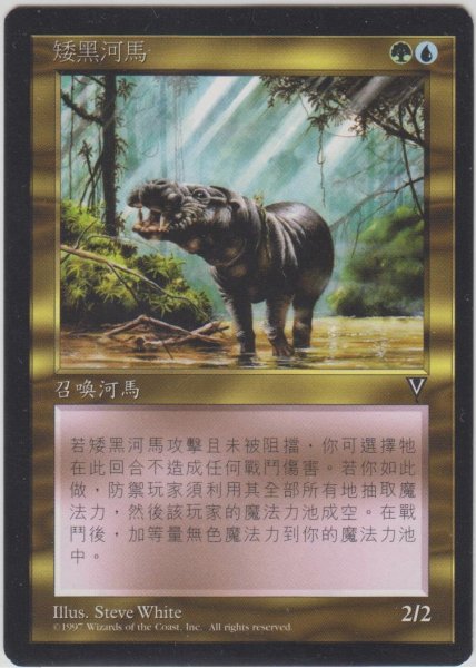 画像1: コビトカバ/Pygmy Hippo (VIS)【他言語特集】 (1)