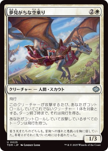 画像1: 夢見がちな空乗り/Starry-Eyed Skyrider (TDM) (1)