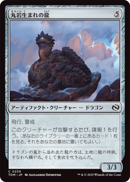 画像1: 丸岩生まれの龍/Boulderborn Dragon (TDM) (1)