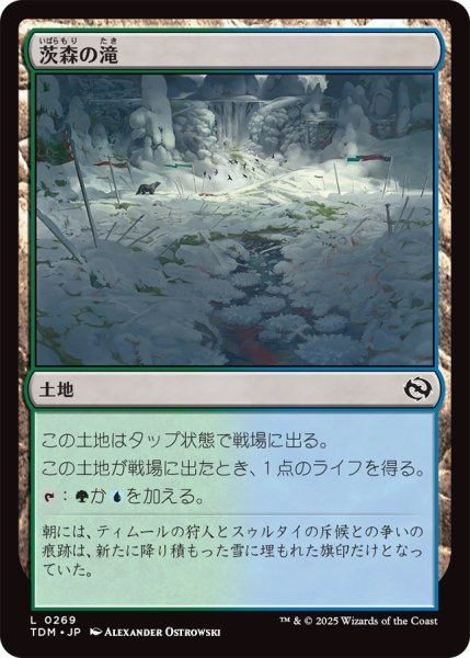 画像1: 茨森の滝/Thornwood Falls (TDM) (1)
