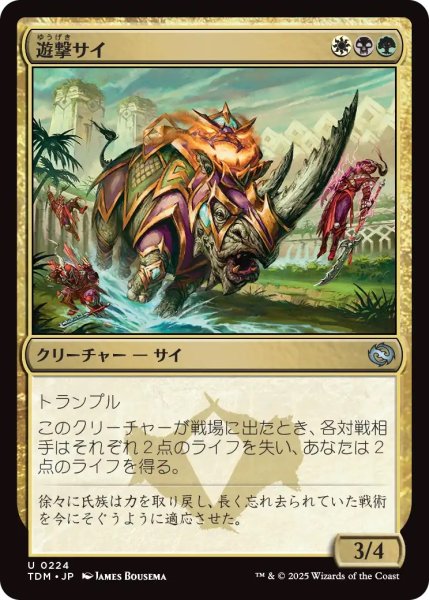 画像1: 遊撃サイ/Skirmish Rhino (TDM) (1)