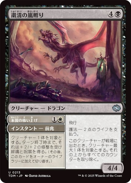 画像1: 粛清の嵐孵り/Purging Stormbrood (TDM) (1)