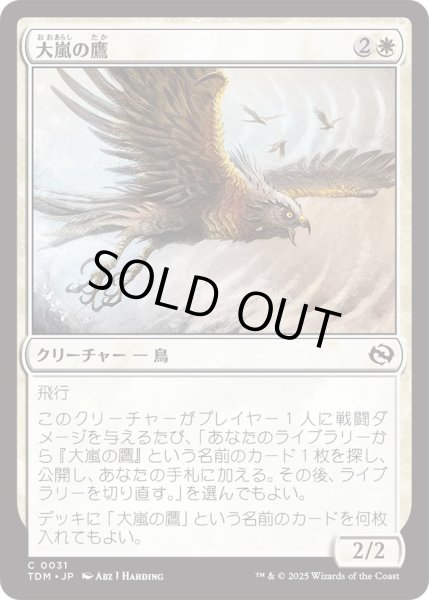 画像1: 大嵐の鷹/Tempest Hawk (TDM) (1)