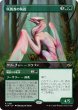 画像1: 咲蔦森の執政/Bloomvine Regent (TDM)【拡張アート版】 (1)