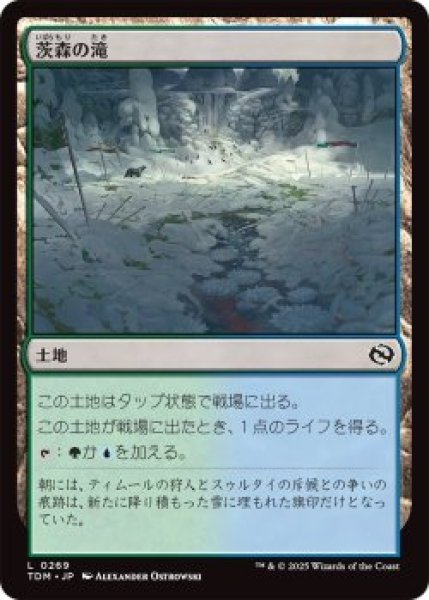 画像1: 茨森の滝/Thornwood Falls (TDM)《Foil》 (1)