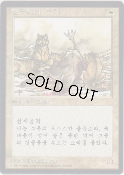 画像1: ツンドラ狼/Tundra Wolves (4ED)【他言語特集】 (1)