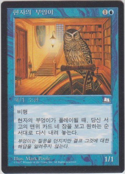 画像1: 物知りフクロウ/Sage Owl (WTH)【他言語特集】 (1)