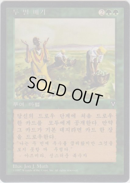 画像1: 二度目の収穫/Rowen (VIS)【他言語特集】 (1)