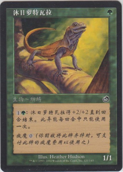 画像1: 日を浴びるルートワラ/Basking Rootwalla 【Ver.2】 (TOR)【他言語特集】 (1)