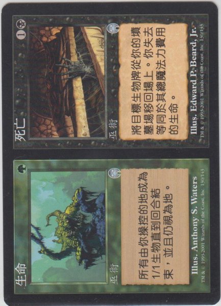 画像1: 生+死/Life+Death (APC)【他言語特集】 (1)