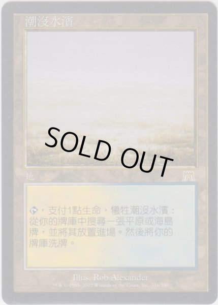 画像1: 溢れかえる岸辺/Flooded Strand 【PLD】 (ONS)【他言語特集】 (1)