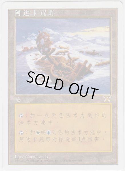 画像1: アダーカー荒原/Adarkar Wastes 【特殊】 (5ED)【他言語特集】 (1)