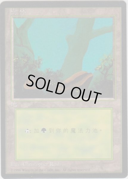 画像1: 森/Forest 【Ver.2】 (4ED)【他言語特集】 (1)