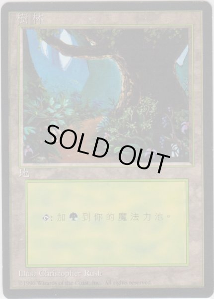 画像1: 森/Forest 【Ver.1】 (4ED)【他言語特集】 (1)