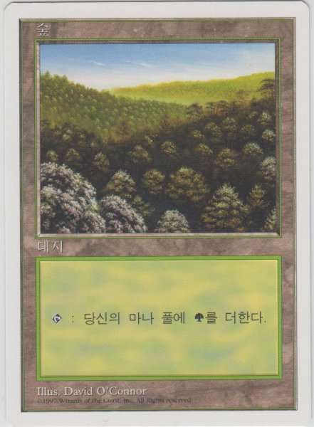 画像1: 森/Forest 【Ver.1】 (5ED)【他言語特集】 (1)