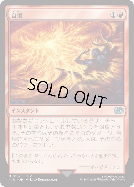 画像1: 自爆/Self-Destruct (FIN) (1)