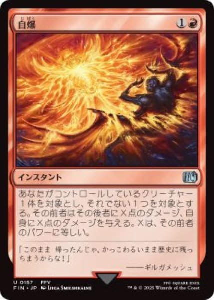 画像1: 自爆/Self-Destruct (FIN)《Foil》 (1)