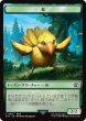 画像2: ウィザード トークン：鳥 トークン/Wizard Token：Bird Token 【No.14/No.16】 (FIN) (2)