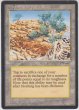 画像1: Diamond Valley 【英語：PLD】 (ARN)【カウントダウン】 (1)