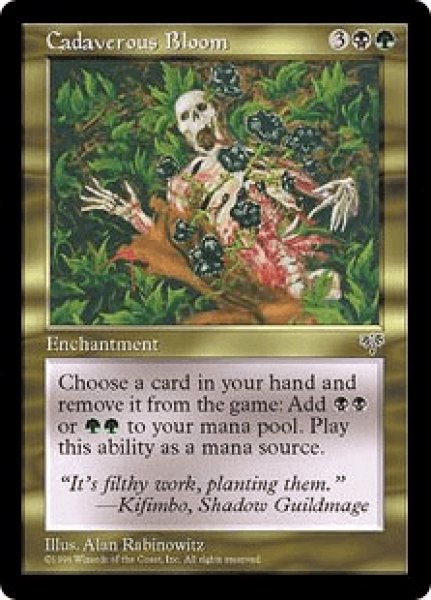 画像1: 死体の花/Cadaverous Bloom (MIR) (1)