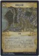 画像2: 原初の呪物/Primal Amulet (Buy a Box) (2)
