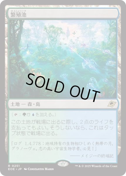 画像1: 繁殖池/Breeding Pool (EOE) (1)