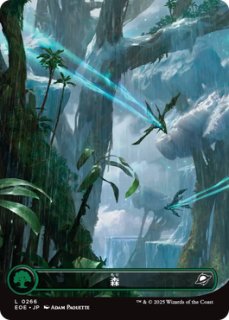 フルアート基本土地 - ジョニーのお店 Magic the Gathering