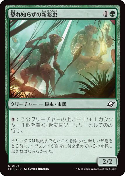 画像1: 恐れ知らずの新参虫/Intrepid Tenderfoot (EOE) (1)