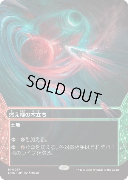 画像1: 燃え柳の木立ち/Grove of the Burnwillows (EOS)【星景版】 (1)